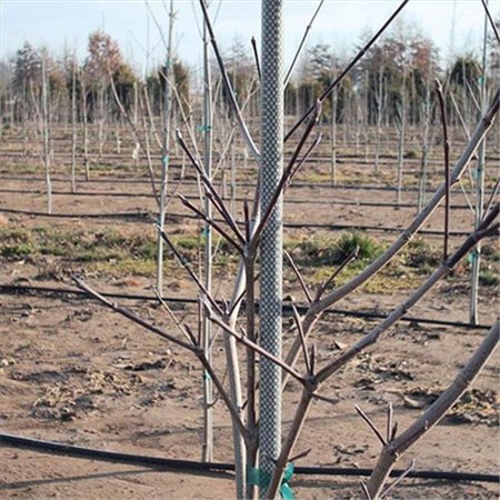 Fiberglass Tree Stake.jpeg